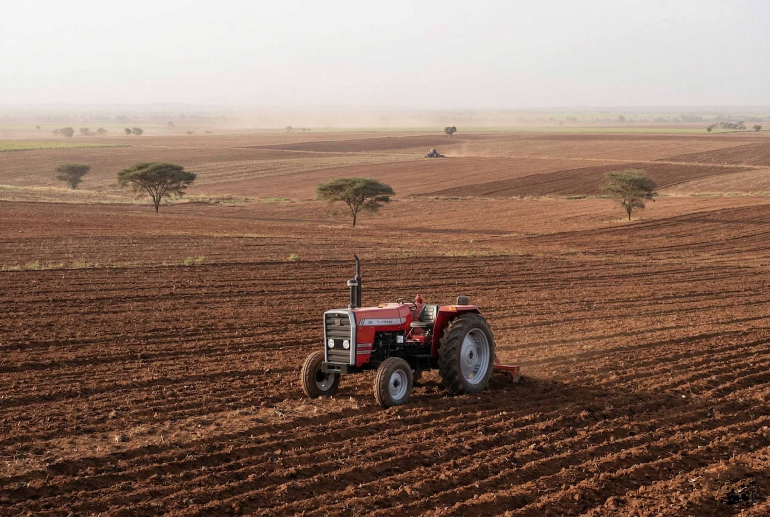 Tractor operating in vast agricultural field — aerial view